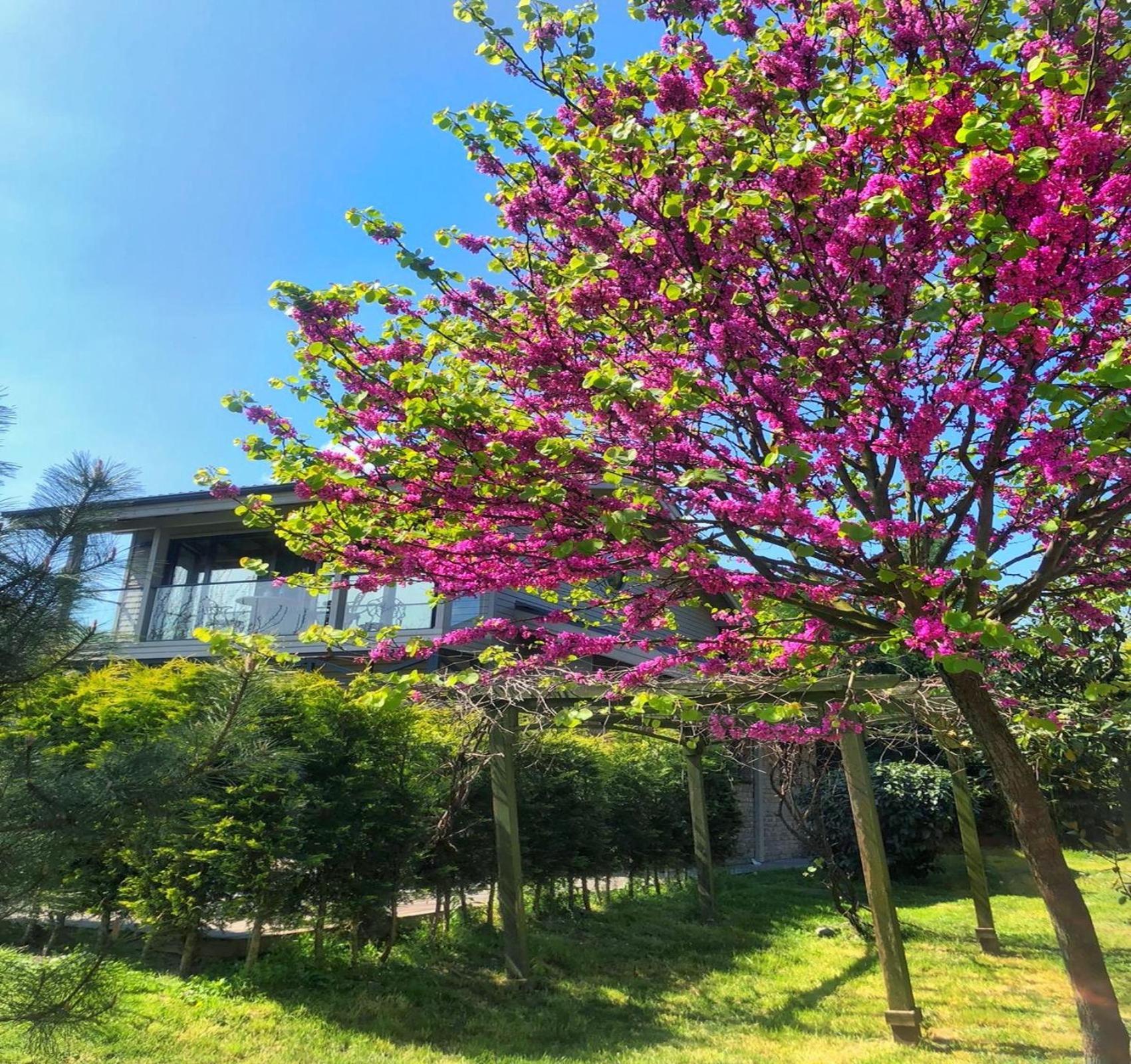 Villa Kirkpinar Sapanca Exteriér fotografie