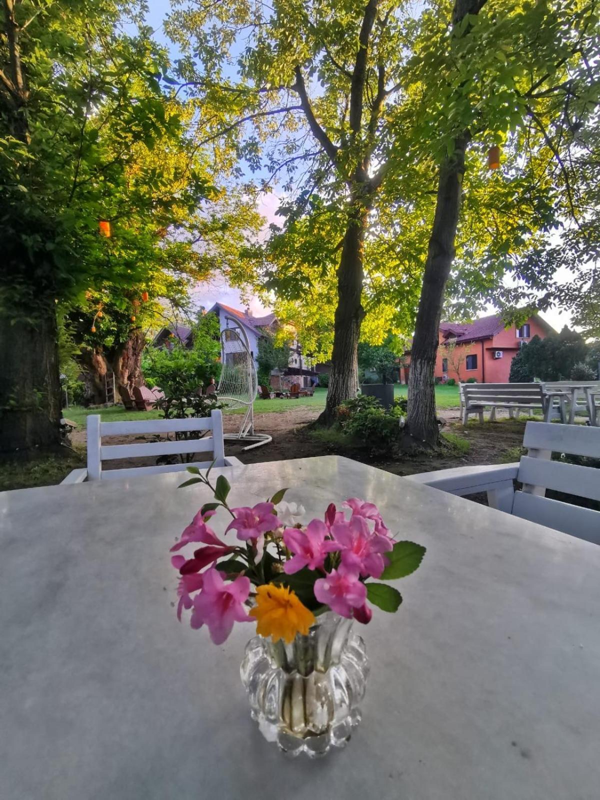 Villa Kirkpinar Sapanca Exteriér fotografie