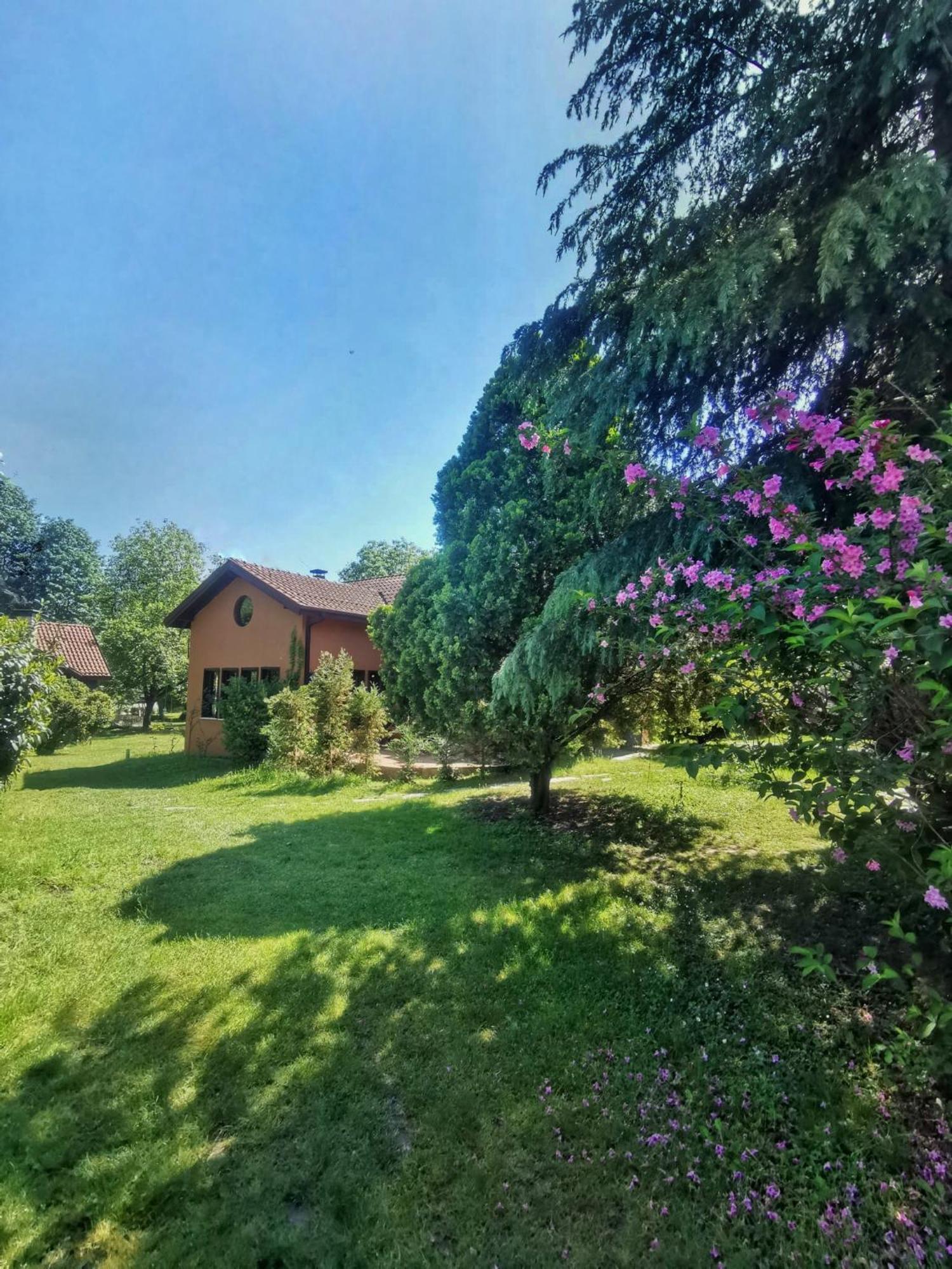 Villa Kirkpinar Sapanca Exteriér fotografie